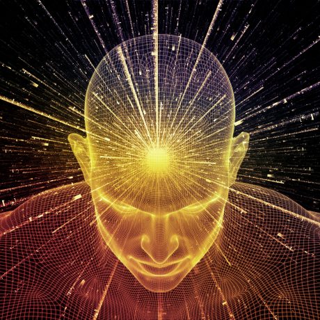 Brain_001